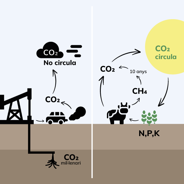 InfografiaCO2_quadrat