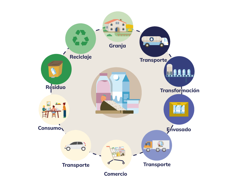 InfografiaCicleVida_ES